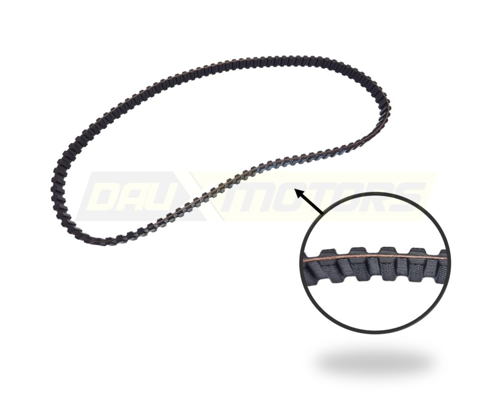 correa doble dentada